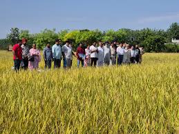 Farm Tour