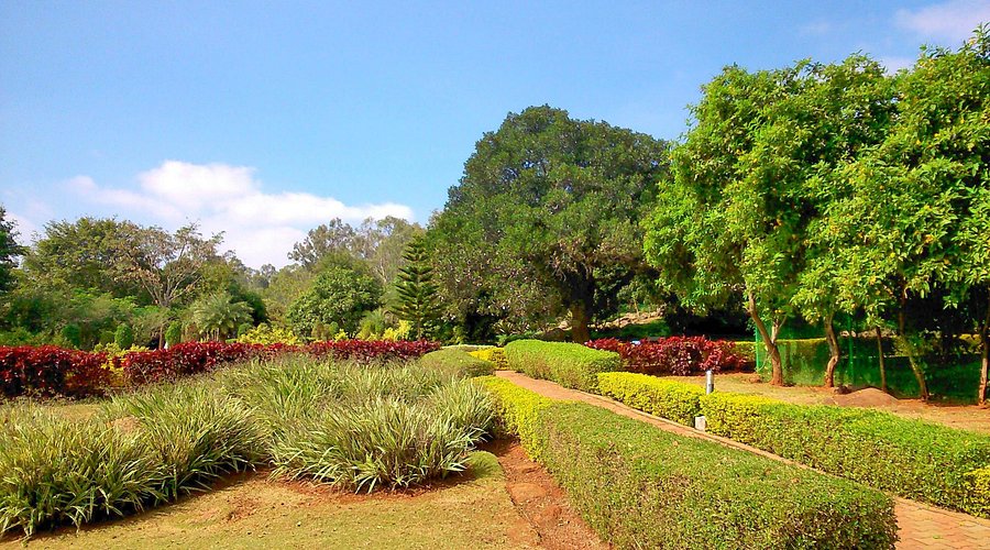 Herbal Farm